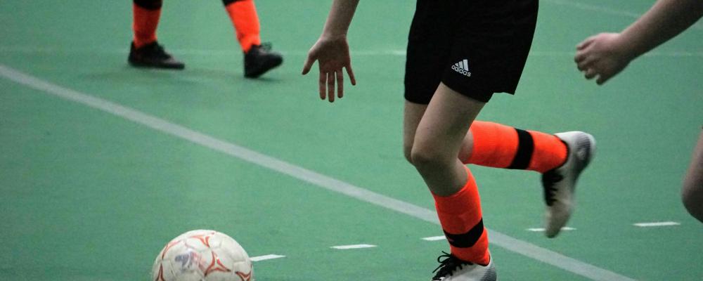 Ludvikas kommunalråd hoppas på ett sponsorbidrag i storleksordningen miljonbelopp för det planerade arenabygget. Foto: Abby Tait/Unsplash