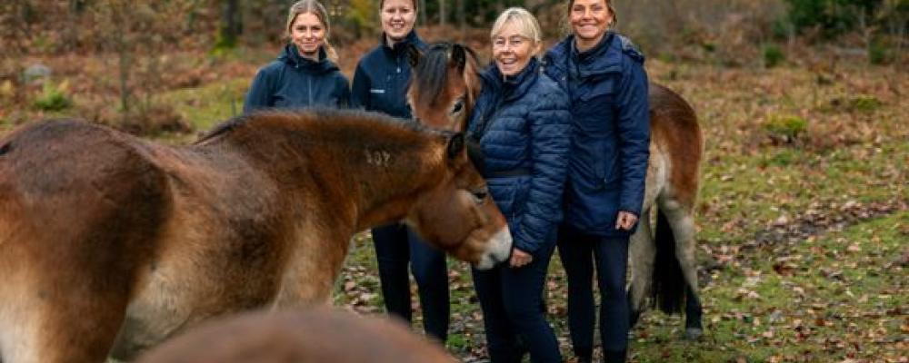 Stolt personal hos Årets ridskola tillsammans med russen från Lojsta Hed, från vänster Alma Kennemar, Nina Nyqvist, Gunilla Stånggren Karlsson och Jeanette Kindeland. Foto: Susanne Walström. Foto: Folksam