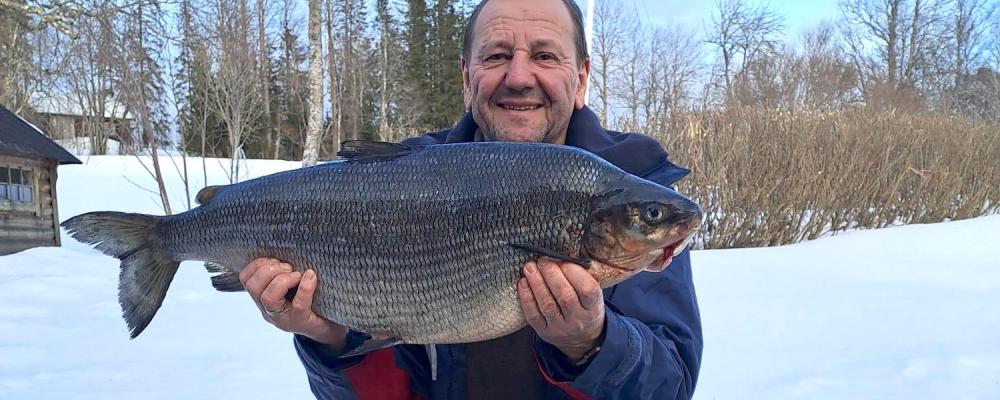 Gintaris Milvydas med en sik på 6 770 gram, nytt svenskt sportfiskerekord. Foto: Storfiskregistret
