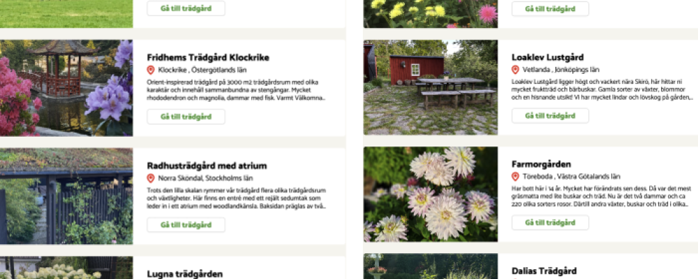 Rekordmånga trädgårdsägare deltar i årets Öppen Trädgård. Foto: Land