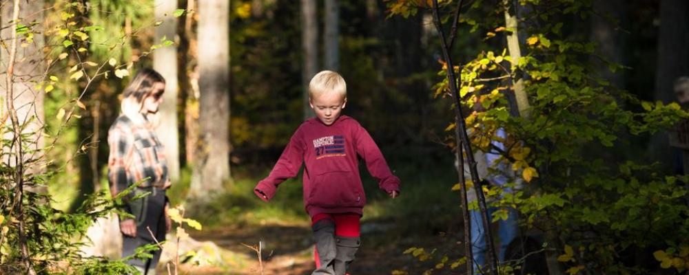 Den nya versionen av Trollskogen kommer att ta emot sina första besökare i slutet på maj. Foto: Vänersborgs kommun