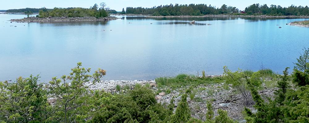 Vy över skärgården i Tupparna-Kalvhararnas naturreservat från Södra Prästskär. Foto: Länsstyrelsen Gävleborg