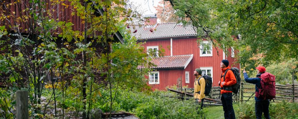 Vandring på Utvandrarleden i Småland Foto: Eric Solie/