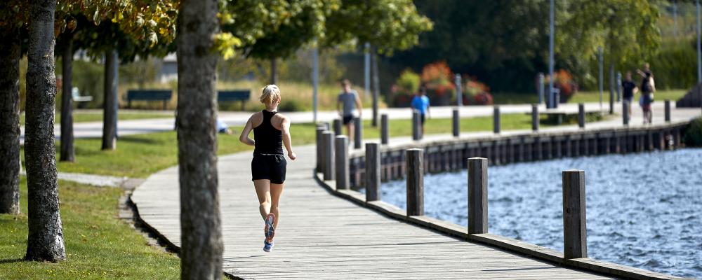 Växjösjön. Pressbild: Mats Samuelsson/Växjö kommun