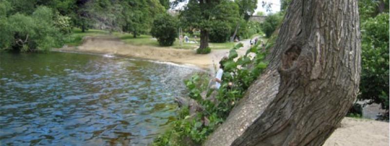 Långholmens strandbad. Foto: Stockholms stad