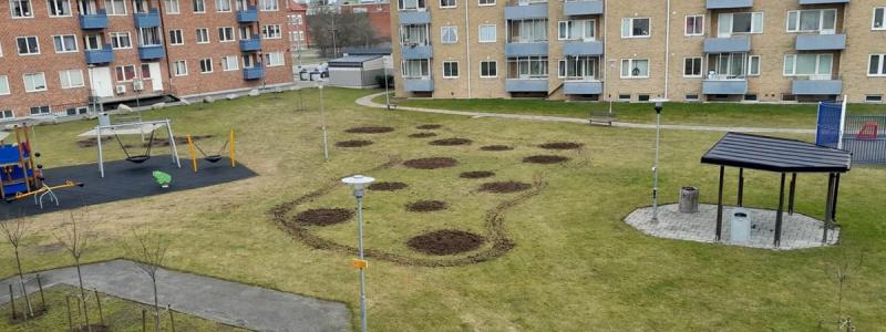 Utgrävning för äng Kärnmakaren. Foto: HSB Skåne