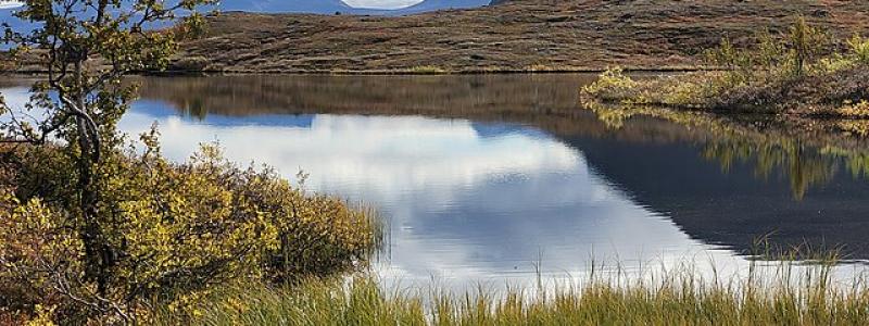 Abisko nationalpark. Foto: Torbjoern Messner/ Wikimedia Commons