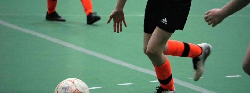 Ludvikas kommunalråd hoppas på ett sponsorbidrag i storleksordningen miljonbelopp för det planerade arenabygget. Foto: Abby Tait/Unsplash