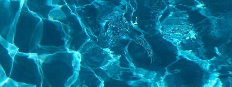 Foto: Artem Militonian / Unsplash