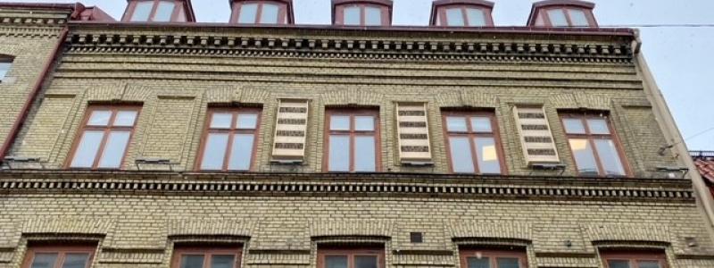 Nu har några av Wallenstams minsta hyresgäster precis flyttat in i sina bihotell på Södra Larmgatan i Göteborg. Bihotellen här är ett av flera initiativ från Wallenstam för att bidra till den biologiska mångfalden. Foto: Wallenstam