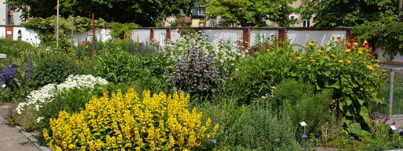 Botaniska trädgården i Västerås. Foto: Arkivbild Västerås stad