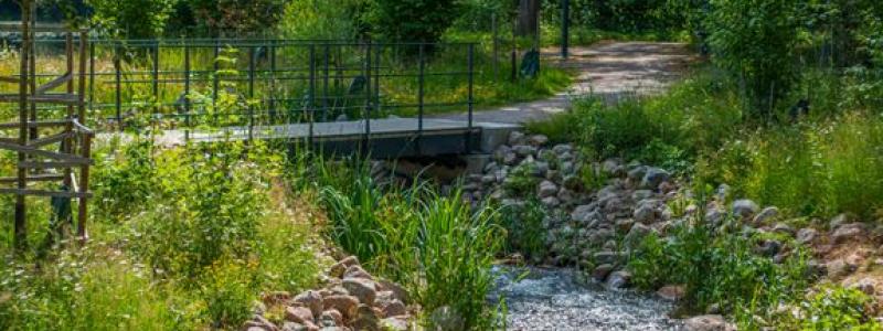 Fiskomlöpet Nykvarnsholmen. Pressbild: Tekniska verken i Linköping