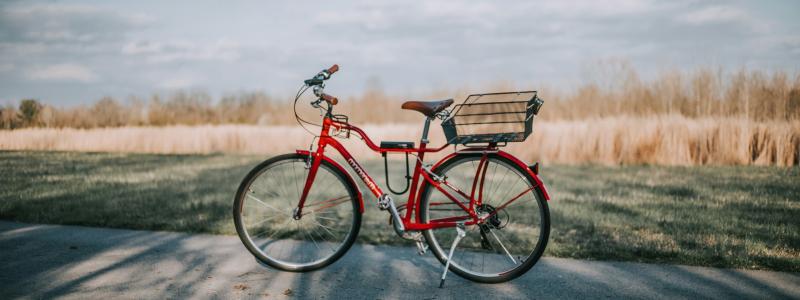 Foto: Christin Hume/Unsplash