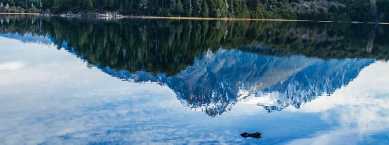 Foto: Delfina Iacub / Unsplash