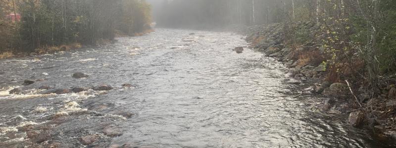 Fämtan, i norra Värmland, är ett av vattendragen som ingår i projektet. Foto: Länsstyrelsen Värmland