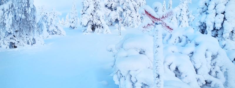 Foto: Länsstyrelsen Dalarna
