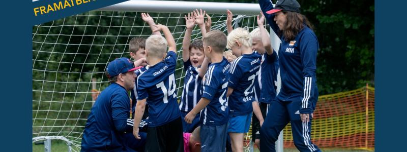 Uppdaterad översikt avslöjar tydlig planbrist i regionen Foto: Stockholms Fotbollförbund