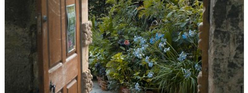 garden foto unsplash