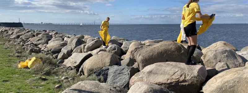 Idrottsföreningar städade Sveriges stränder. Foto: Pantamera