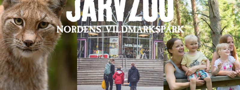 Foto: Järvsö
