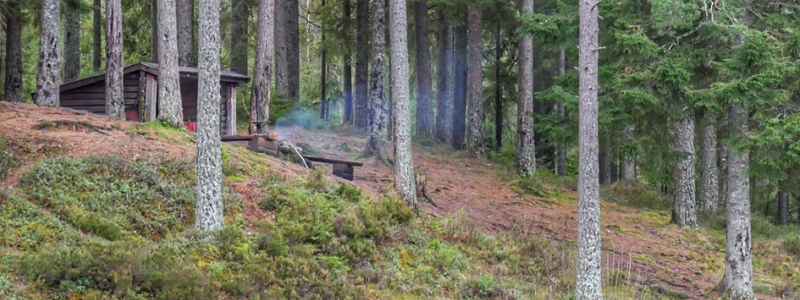 Ett vindskydd vid Björktjärn i Kilsbergen. Foto: Johan Karlström/Region Örebro Län.