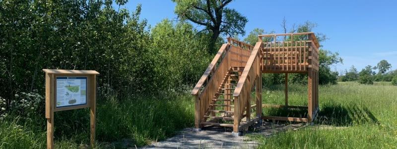 Löjtnantsholms naturreservat. Foto: Länsstyrelsen i Västra Götaland