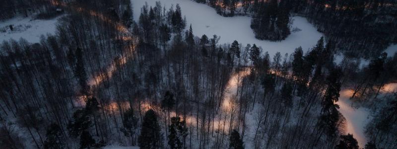 Fladdermöss reglerar insekter och stärker ekosystemet, men störs lätt av ljus. Därför är naturanpassad belysning avgörande. Foto: Zlatan Softic/DEFA.