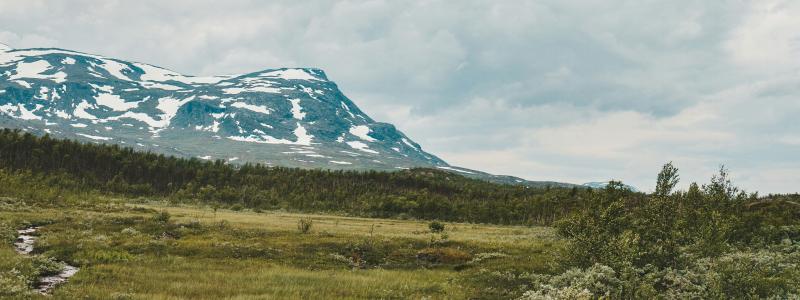 Abisko. Foto: philip myrtorp/unsplash
