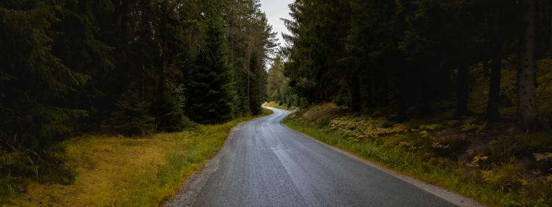 Tyresta nationalpark och naturreservat, Vendelsö. Foto: Simon N/Unsplash