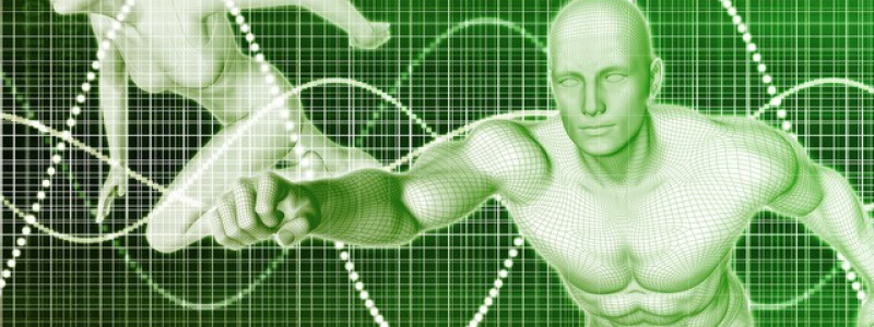 Foto: SAS Institute