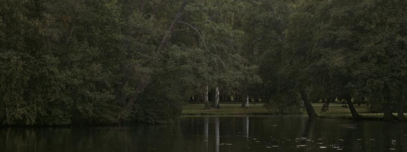 Lars Nilsson, Park II (2011). Foto: Lars Nilsson. Bild beskuren.