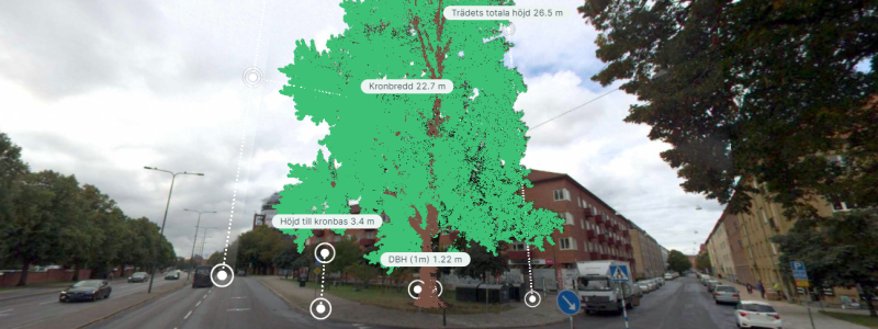 Vy från det verktyg som används för inventering av Malmös gatuträd. Bild Malmö stad