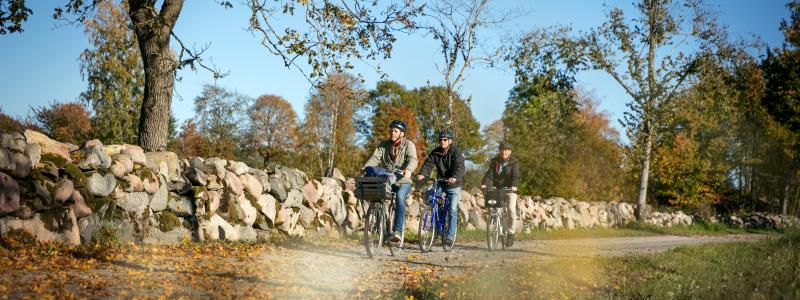 Cykelleden kommer att  sträcka sig mellan kommunerna Karlsborg, Tibro, Skövde, Skara och Lidköping. Foto: Next Skövde