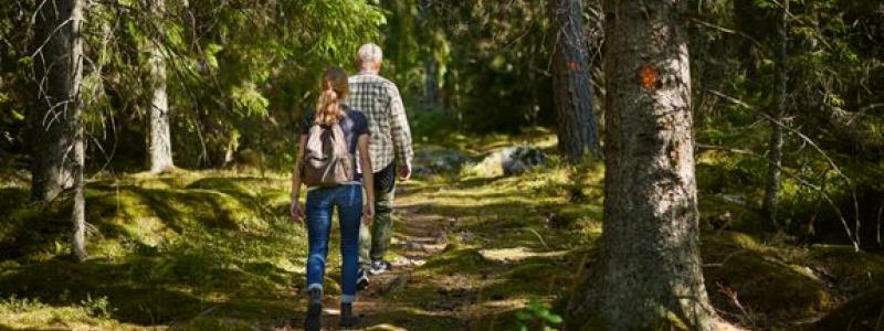 Foto: Skogsstyrelsen