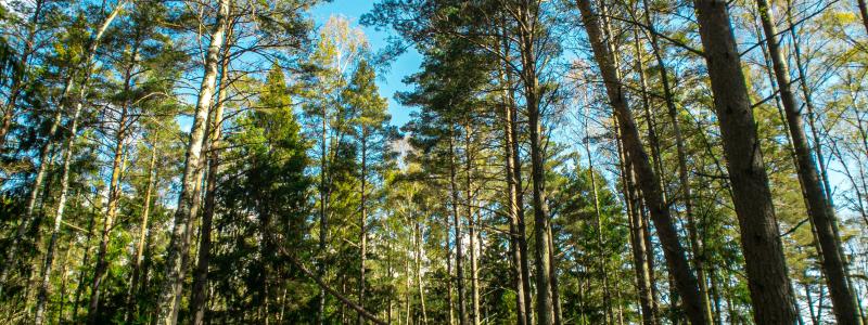 Haninge. Foto: Jocke Wulcan/Unsplash