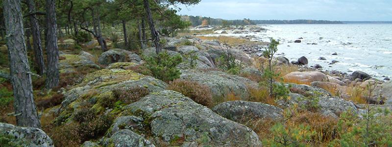 I Vänern, utanför Mariestad ligger ön Onsö, vars rika natur sedan 2005 skyddas som naturreservat. Foto: Länsstyrelsen Västra Götaland