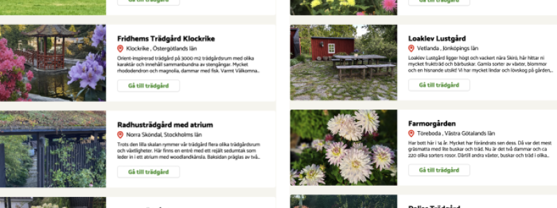 Rekordmånga trädgårdsägare deltar i årets Öppen Trädgård. Foto: Land