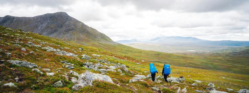 Storulvån i Jämtland. Foto: Johannes Andersson/Unsplash