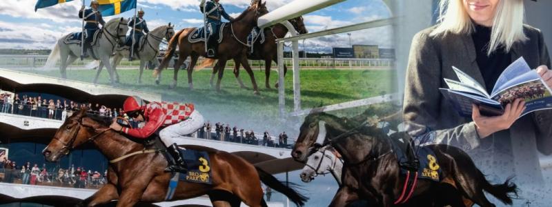 Foto: Svensk Galopp