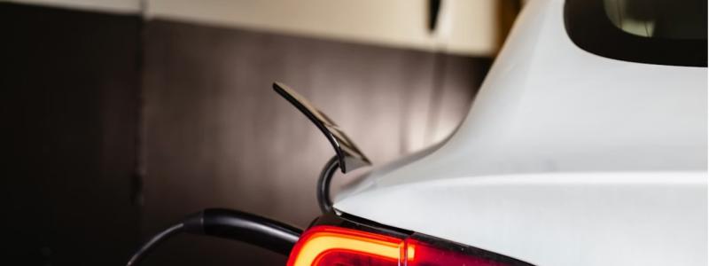 Skarholmen från vattnet, morgon. Ilustration: Krook & Tjäder.