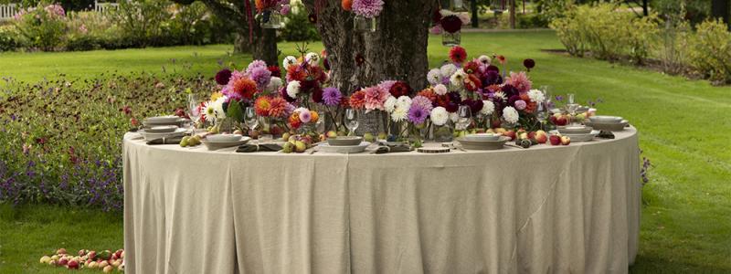 Kullafloristens utställning i dahliakvarteret. Foto: Anders Ahlgren