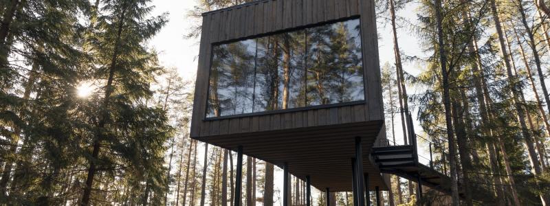 Foto: Trakt Forest