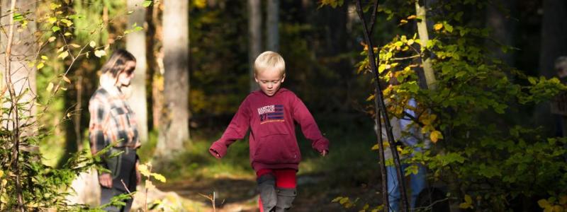 Den nya versionen av Trollskogen kommer att ta emot sina första besökare i slutet på maj. Foto: Vänersborgs kommun