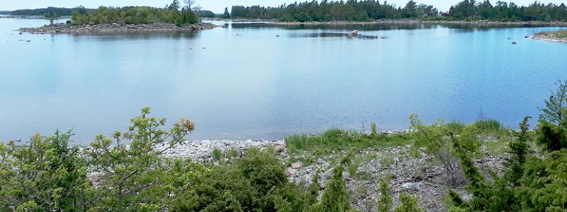 Vy över skärgården i Tupparna-Kalvhararnas naturreservat från Södra Prästskär. Foto: Länsstyrelsen Gävleborg
