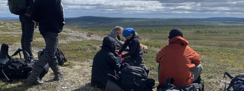 Romboleden genom Lofsdalen är nu färdigställd.  En särskild satsning för både vandrare och MTB-cyklister har gjorts på en cirka fyra kilometer lång signaturled (Våffelstigen). Foto: Lofsdalen