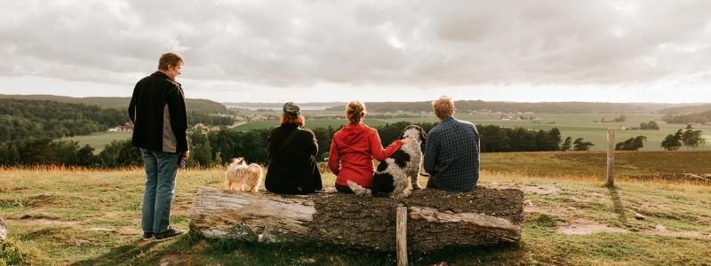 Årets coolaste friluftscamp - en folkfest med prova-på-aktiviteter, nyheter, kurser, vandringar, utehäng och äventyr! Foto: Kungsbacka kommun