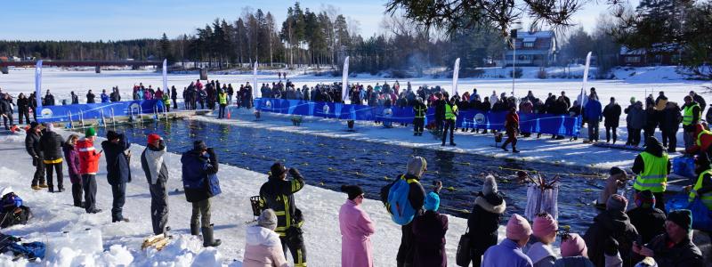 Foto: Vansbrosimningen