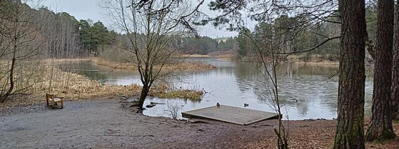 Västra bryggan vid Råcksta träsk Foto: Wikimedia Commons