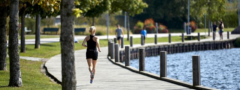 Växjösjön. Pressbild: Mats Samuelsson/Växjö kommun