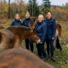 Stolt personal hos Årets ridskola tillsammans med russen från Lojsta Hed, från vänster Alma Kennemar, Nina Nyqvist, Gunilla Stånggren Karlsson och Jeanette Kindeland. Foto: Susanne Walström. Foto: Folksam
